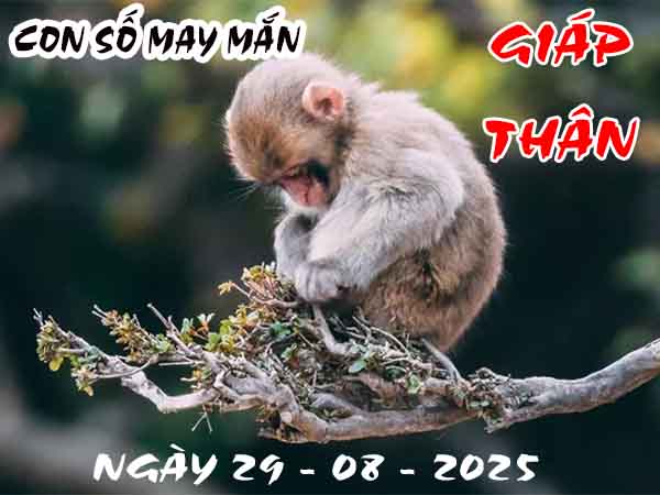 Con số may mắn tuổi Giáp Thân ngày 29/8/2025 thứ 6 hôm nay
