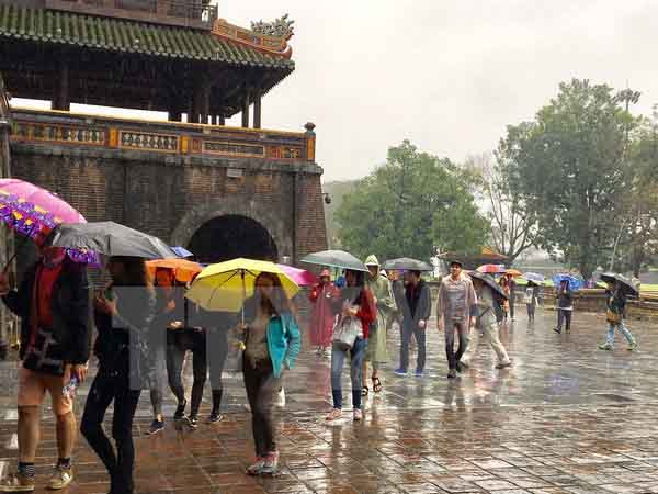 Mộng mị thấy mưa nhỏ rơi trên mặt đất khô hạn