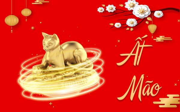 Vận trình tử vi tuổi Ất Mão ngày 6/9/2025