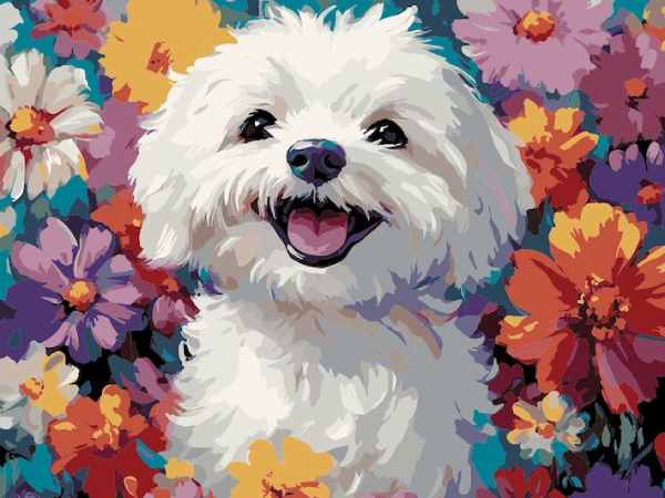 Luận giải con số may mắn tuổi Tuất ngày 17/9/2025