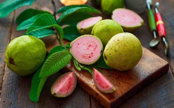Chiêm bao thấy hái quả ổi
