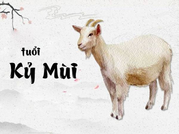 Phân tích số tài lộc tuổi Kỷ Mùi 3/10/2025 gợi ý vận may hôm nay