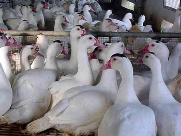 Dự đoán XSMN 27/3/2026 – Soi cầu Miền Nam thứ 6 miễn phí