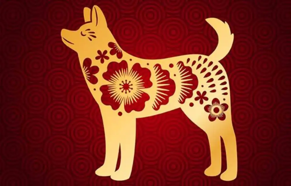 Tổng quan tử vi tuổi Tuất ngày 14/3/2026 có gì đặc biệt?