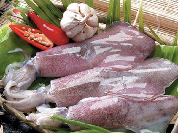 Con mực số mấy theo góc nhìn giải mã số học